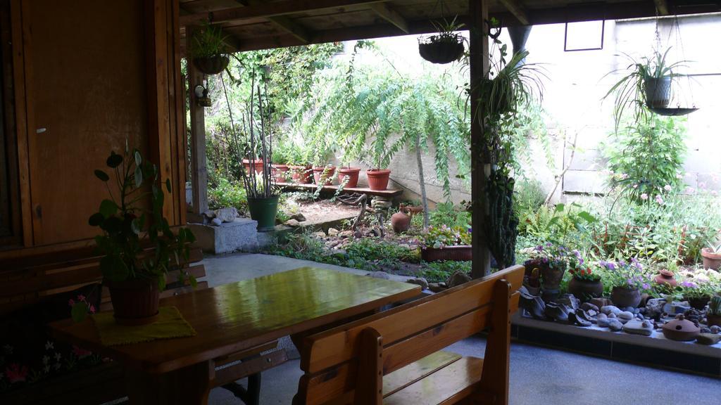 Villa Climate Guest House ヴァルナ エクステリア 写真