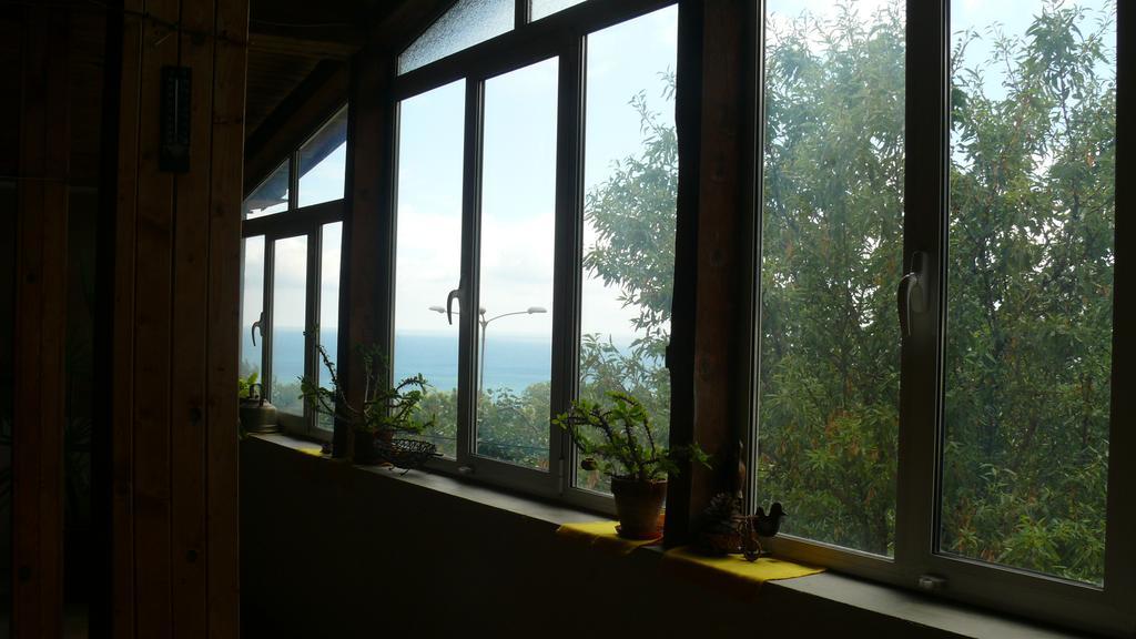 Villa Climate Guest House ヴァルナ エクステリア 写真